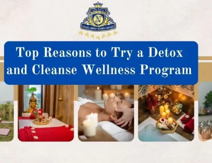 Top Reasons to Try a Detox and Cleanse Wellness Program