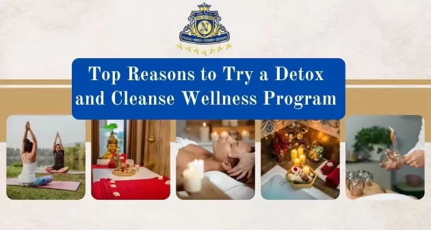 Top Reasons to Try a Detox and Cleanse Wellness Program