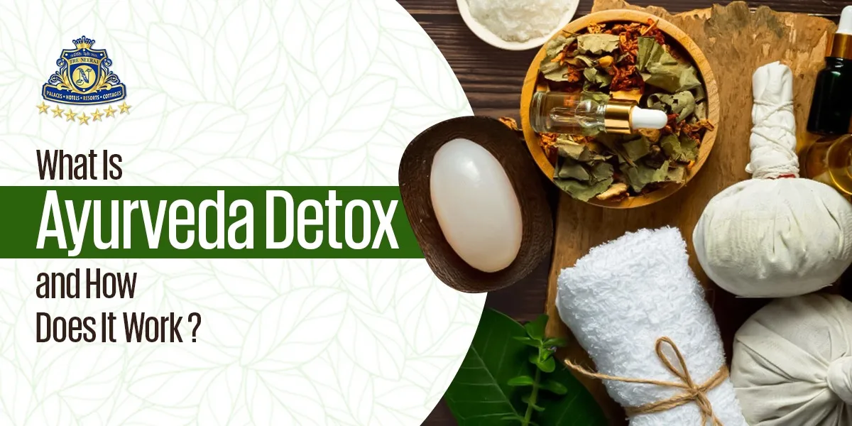 What Is Ayurveda Detox and How Does It Work?