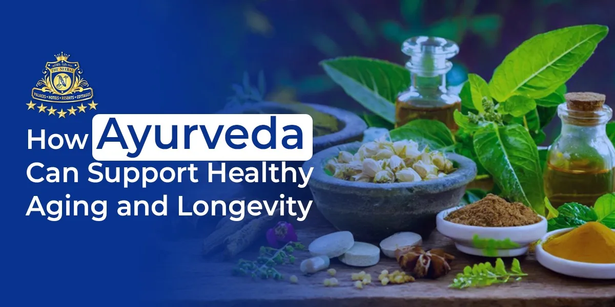 What Is Ayurveda Detox and How Does It Work?